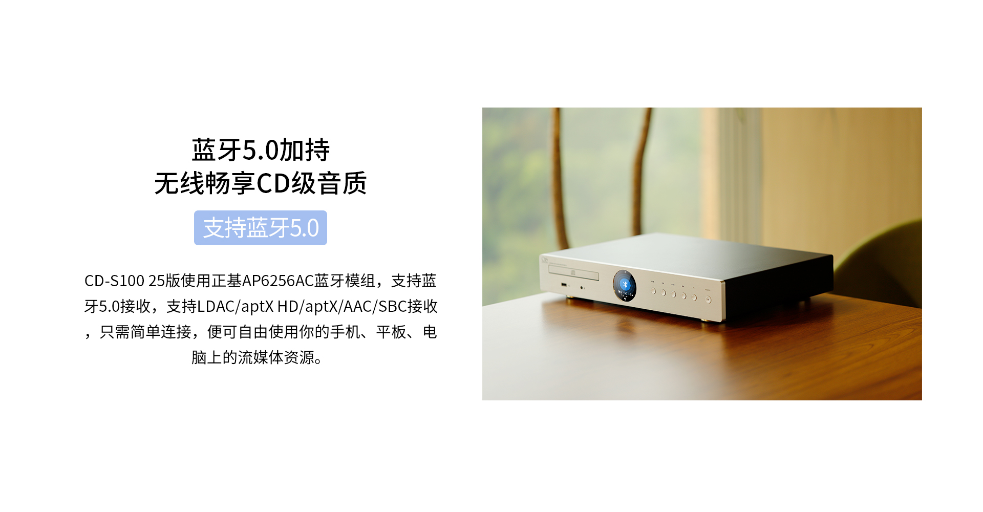 25CD-S100-10.jpg